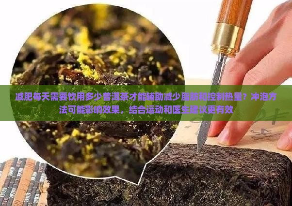 减肥喝多少普洱茶