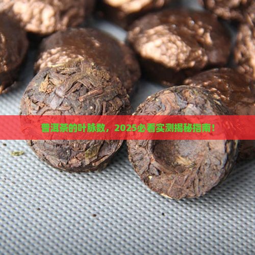 普洱茶的叶脉数