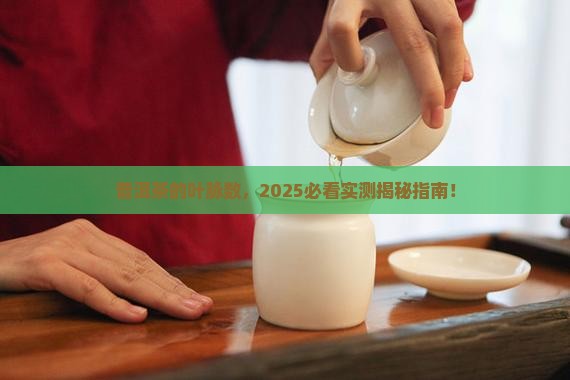 普洱茶的叶脉数