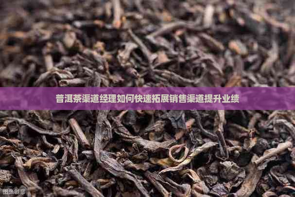 普洱茶渠道经理