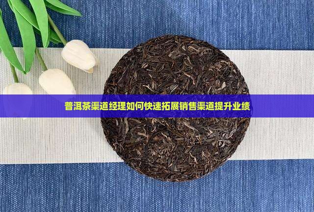 普洱茶渠道经理
