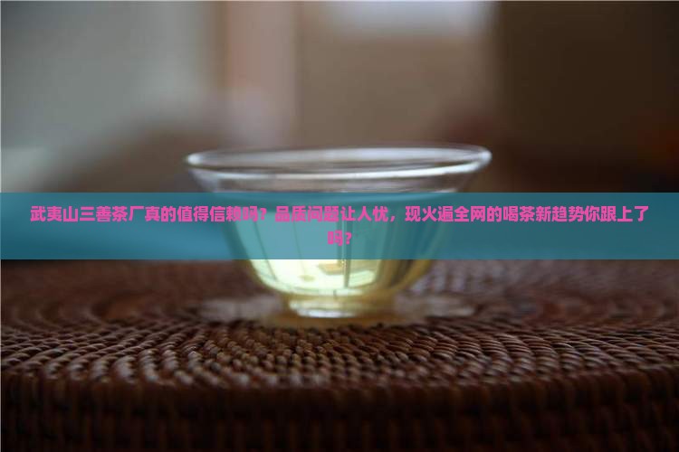 武夷山三善茶厂