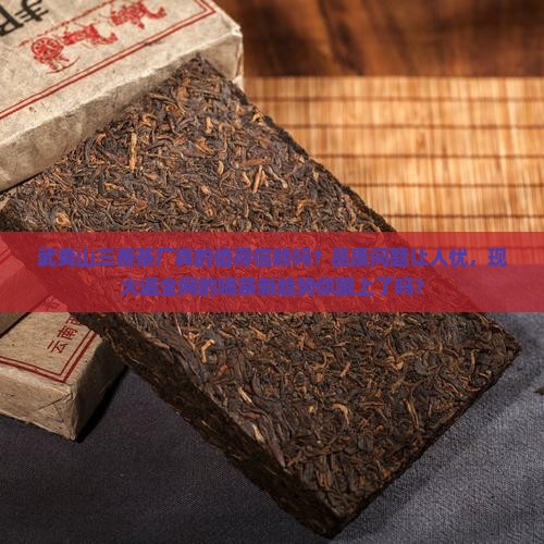 武夷山三善茶厂