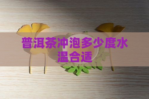 普洱茶泡茶喝多少度的水温