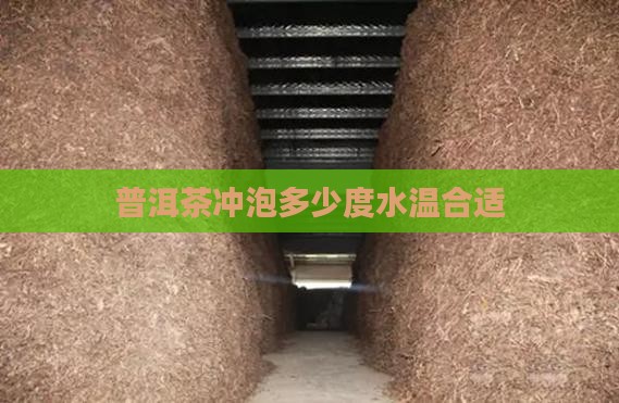 普洱茶泡茶喝多少度的水温