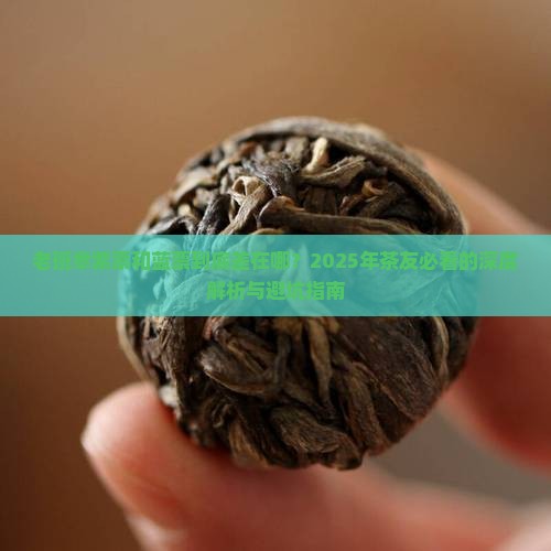 老班章紫票和蓝票的区别
