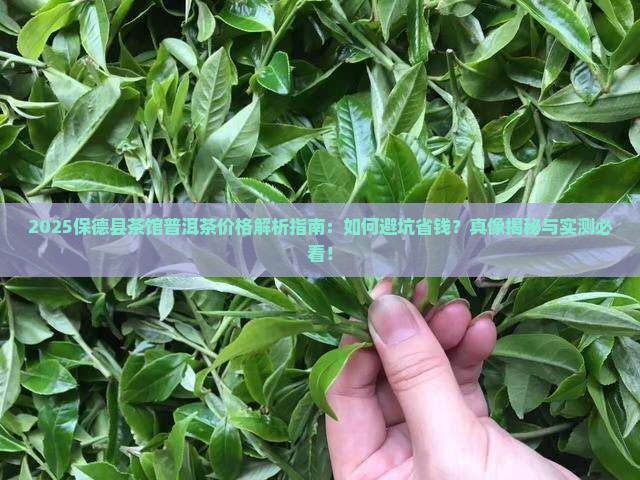 保德县茶馆普洱茶价格