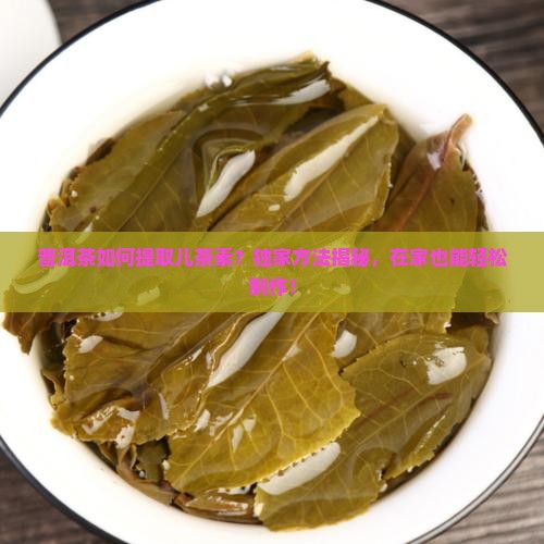 普洱茶如何提取儿茶素