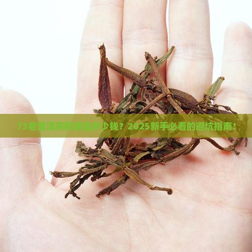 73老普洱茶价格