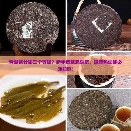 普洱茶分哪三个等级