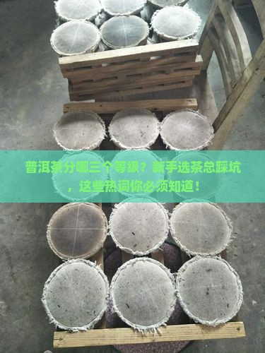 普洱茶分哪三个等级