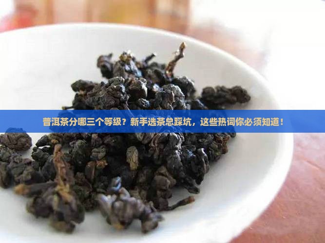 普洱茶分哪三个等级