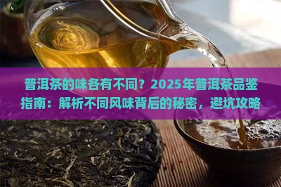 普洱茶的味各有不同