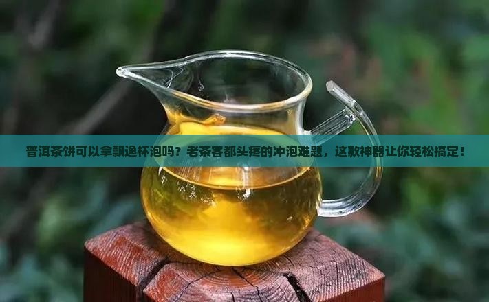 普洱茶饼可以拿飘逸杯泡吗
