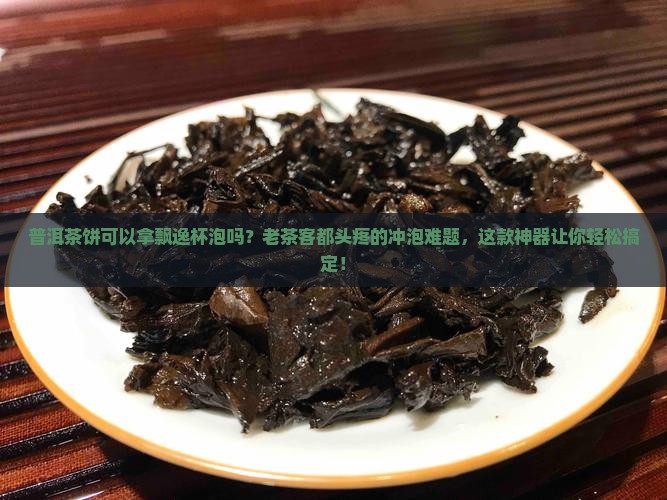普洱茶饼可以拿飘逸杯泡吗