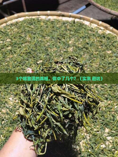 普洱暖胃还是养胃