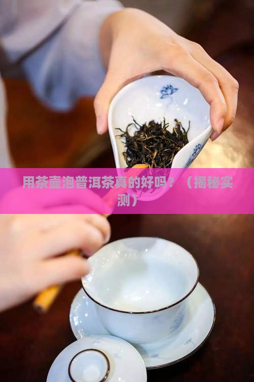 用茶壶泡普洱茶好吗