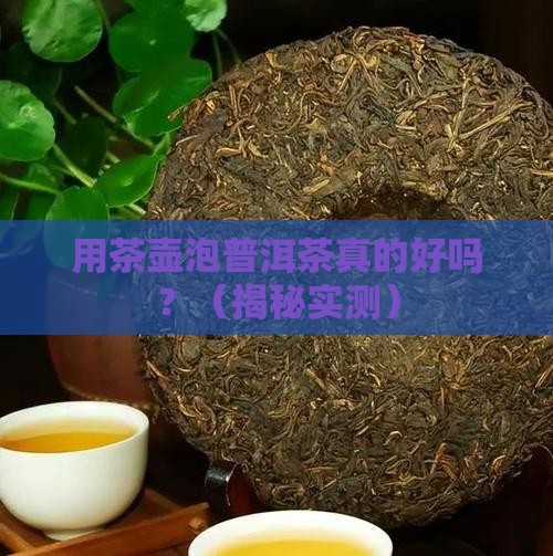 用茶壶泡普洱茶好吗