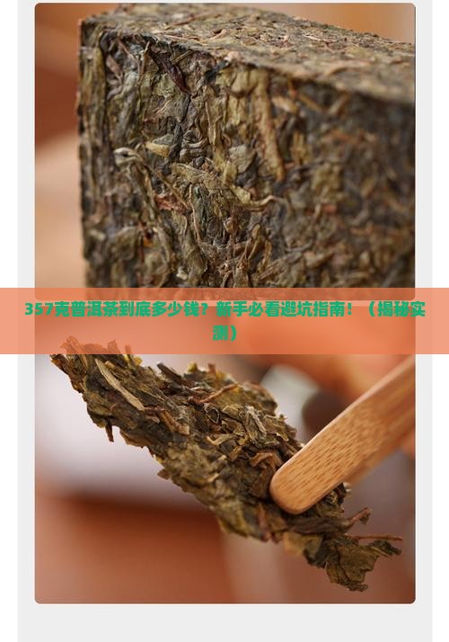 普洱茶357克多钱