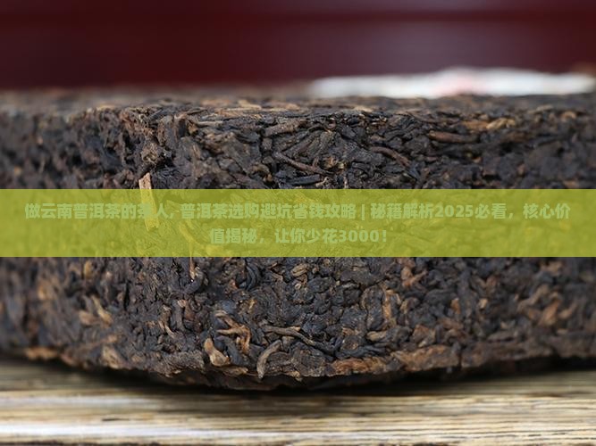 做云南普洱茶的茶人