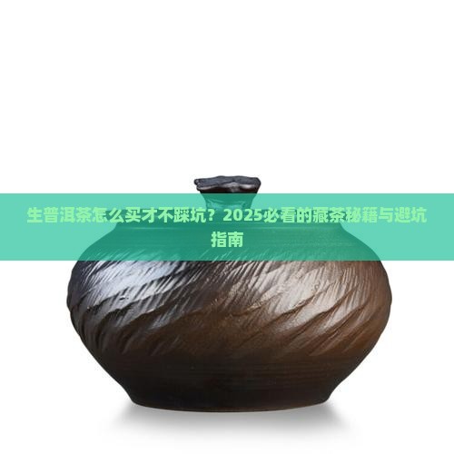 生普洱茶的种类购买藏