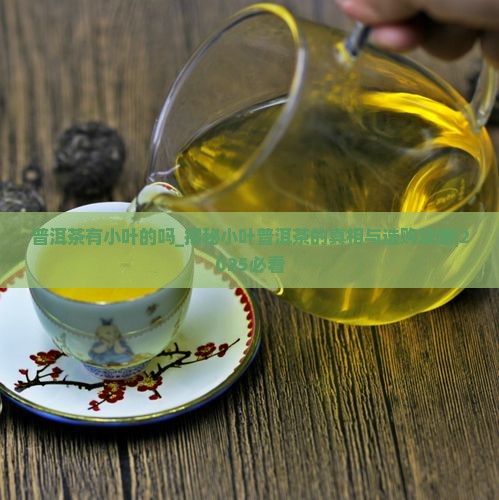 普洱茶有小叶的吗