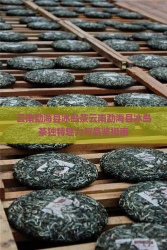 云南勐海县冰岛茶