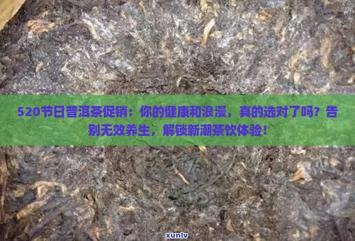 520节日普洱茶促销