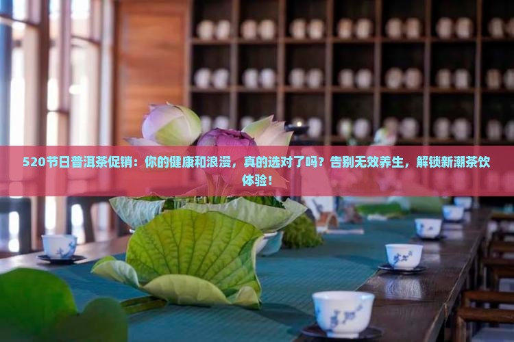 520节日普洱茶促销