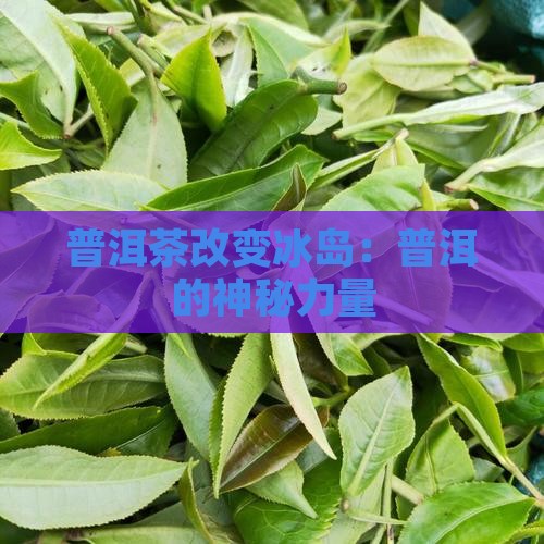 普洱茶改变冰岛