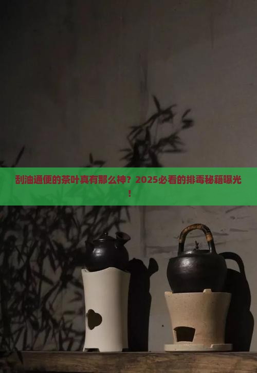 刮油通便的茶叶