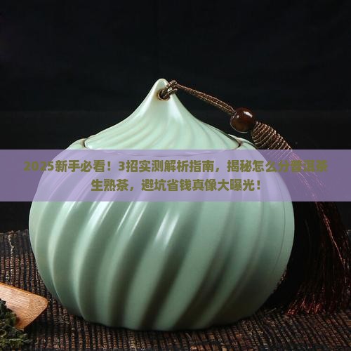 怎么分普洱茶生茶熟茶