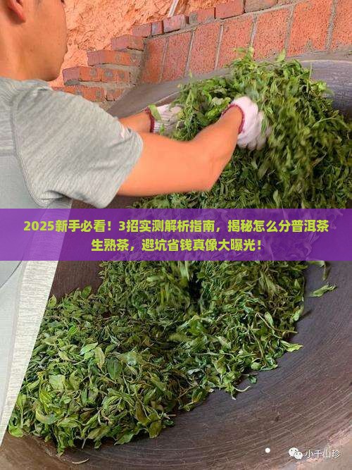 怎么分普洱茶生茶熟茶