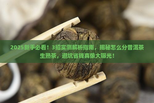 怎么分普洱茶生茶熟茶
