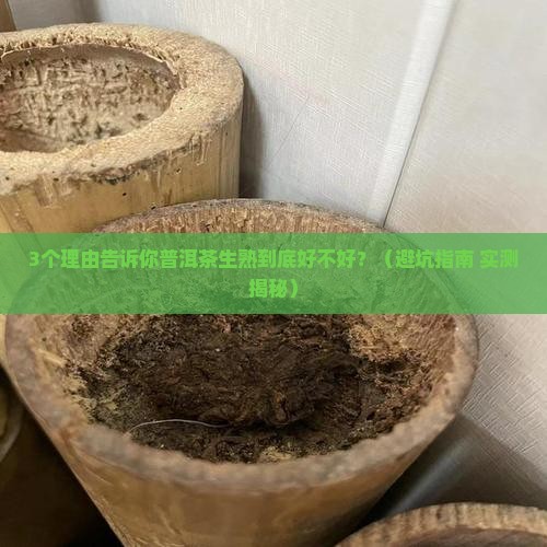 普洱茶生熟好吗