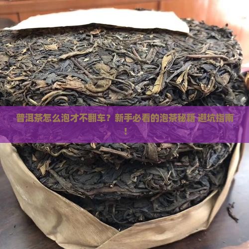 普洱茶怎么才能泡好茶叶