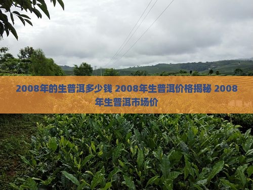 2008年的生普洱多少钱