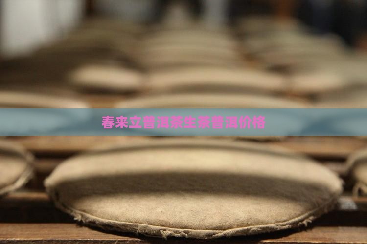 春来立普洱茶生茶