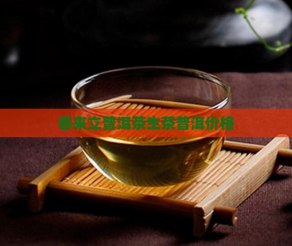 春来立普洱茶生茶