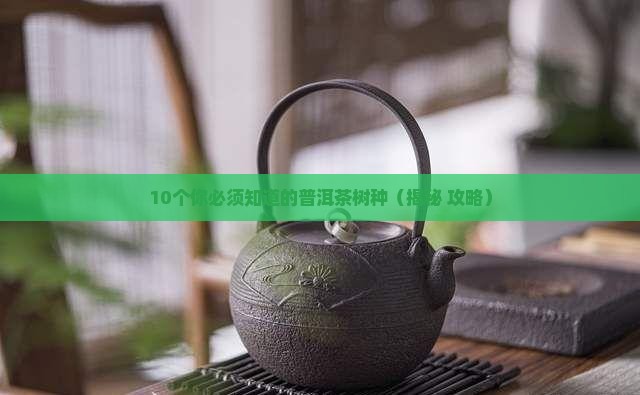 普洱茶类树种有哪些品种
