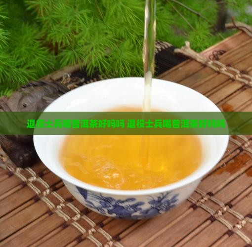 退役士兵喝普洱茶好吗吗