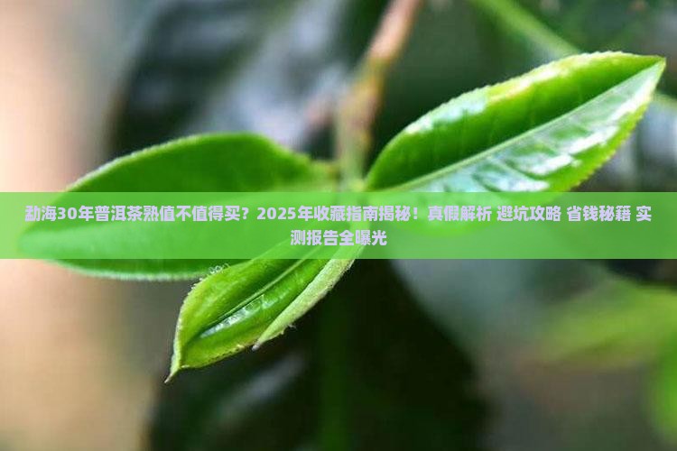 勐海30年普洱茶熟
