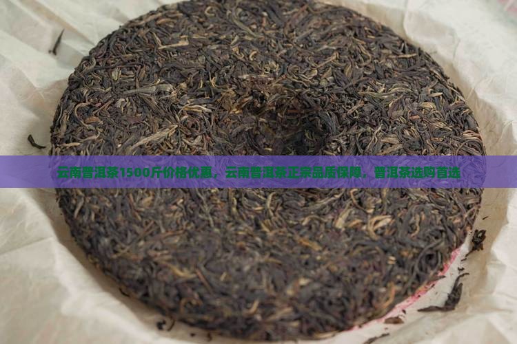 云南普洱茶1500斤