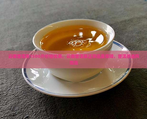 云南普洱茶1500斤