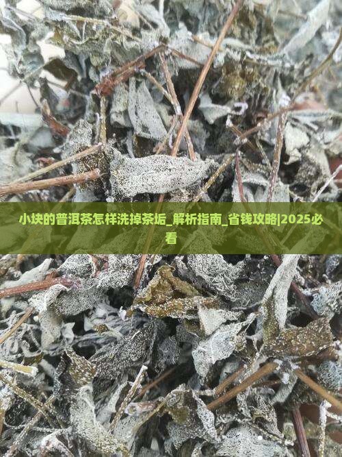 小块的普洱茶怎样洗掉茶垢