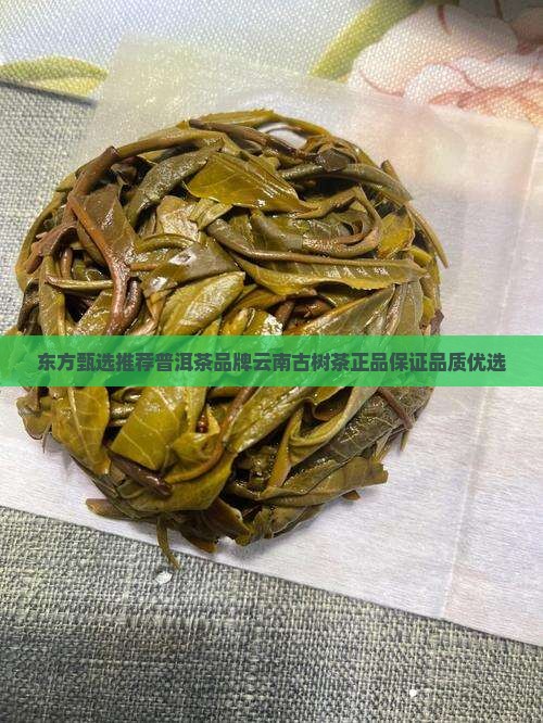 东方甄选推荐普洱茶品牌