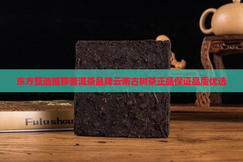 东方甄选推荐普洱茶品牌