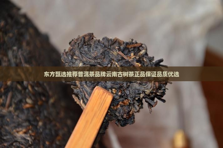 东方甄选推荐普洱茶品牌