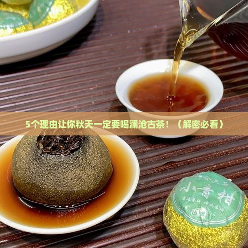 澜沧古茶古树秋香