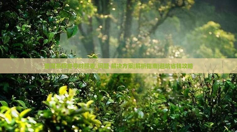 普洱茶标准号对照表